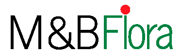 M&B Flora Logo